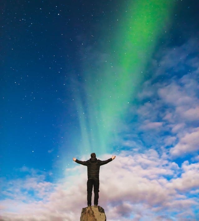 大红鹰dhy(中国)有限公司官网