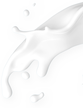 大红鹰dhy(中国)有限公司官网