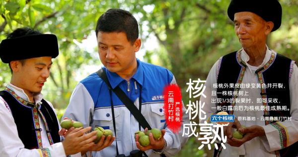 大红鹰dhy(中国)有限公司官网