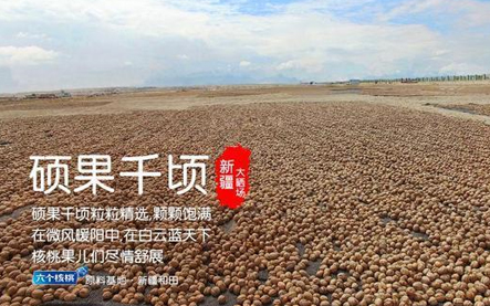 大红鹰dhy(中国)有限公司官网