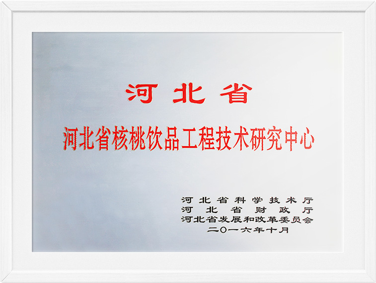 大红鹰dhy(中国)有限公司官网