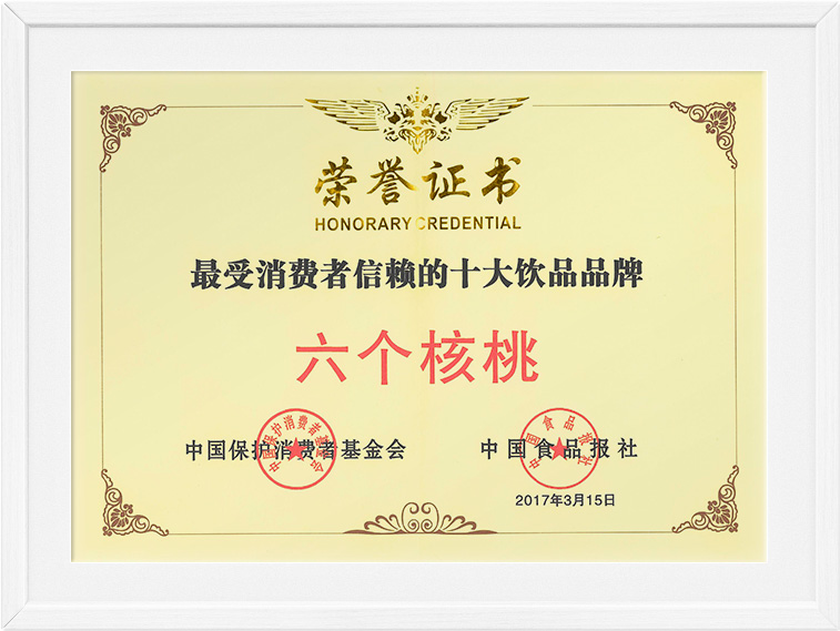 大红鹰dhy(中国)有限公司官网