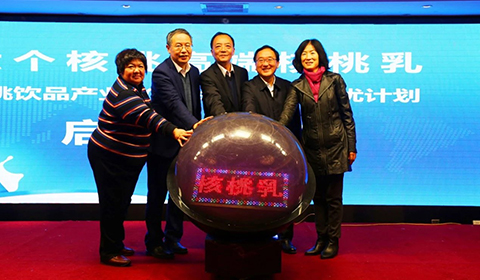 大红鹰dhy(中国)有限公司官网