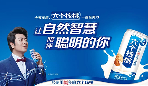 大红鹰dhy(中国)有限公司官网