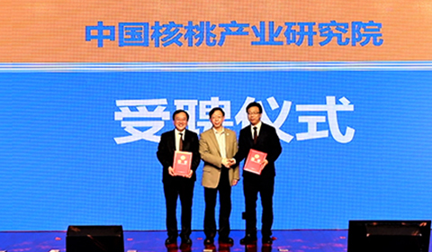 大红鹰dhy(中国)有限公司官网