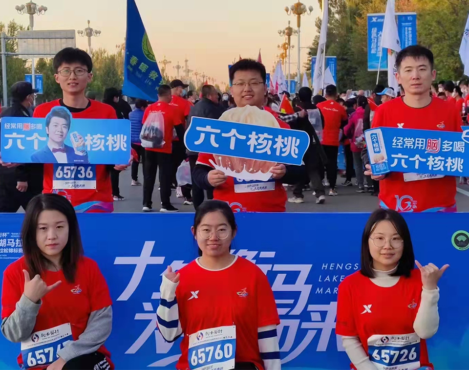 大红鹰dhy(中国)有限公司官网