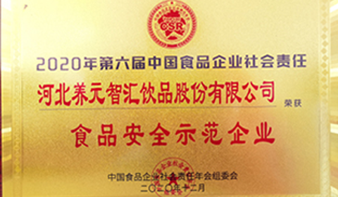 大红鹰dhy(中国)有限公司官网