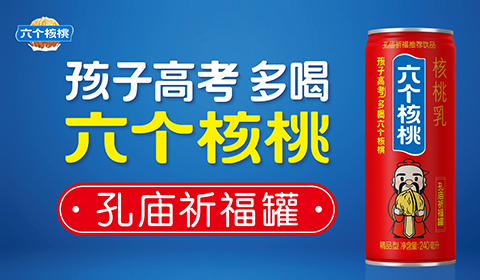 大红鹰dhy(中国)有限公司官网