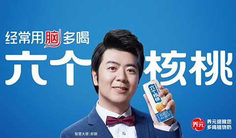 大红鹰dhy(中国)有限公司官网