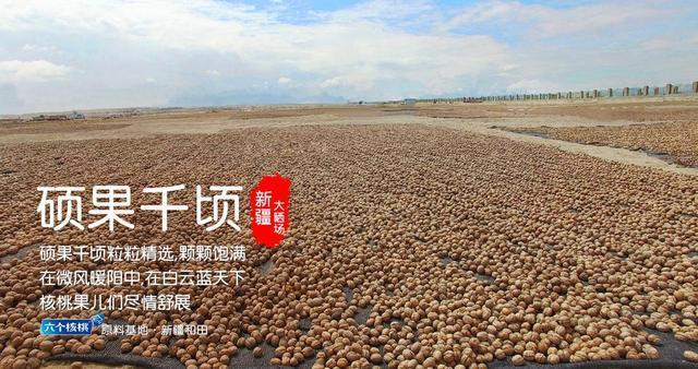 大红鹰dhy(中国)有限公司官网