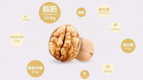 大红鹰dhy(中国)有限公司官网