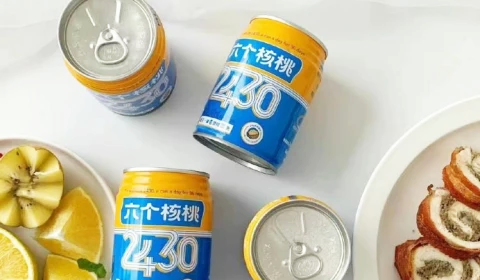 大红鹰dhy(中国)有限公司官网