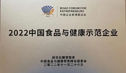 大红鹰dhy(中国)有限公司官网