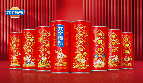 大红鹰dhy(中国)有限公司官网