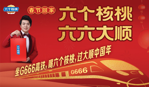 大红鹰dhy(中国)有限公司官网