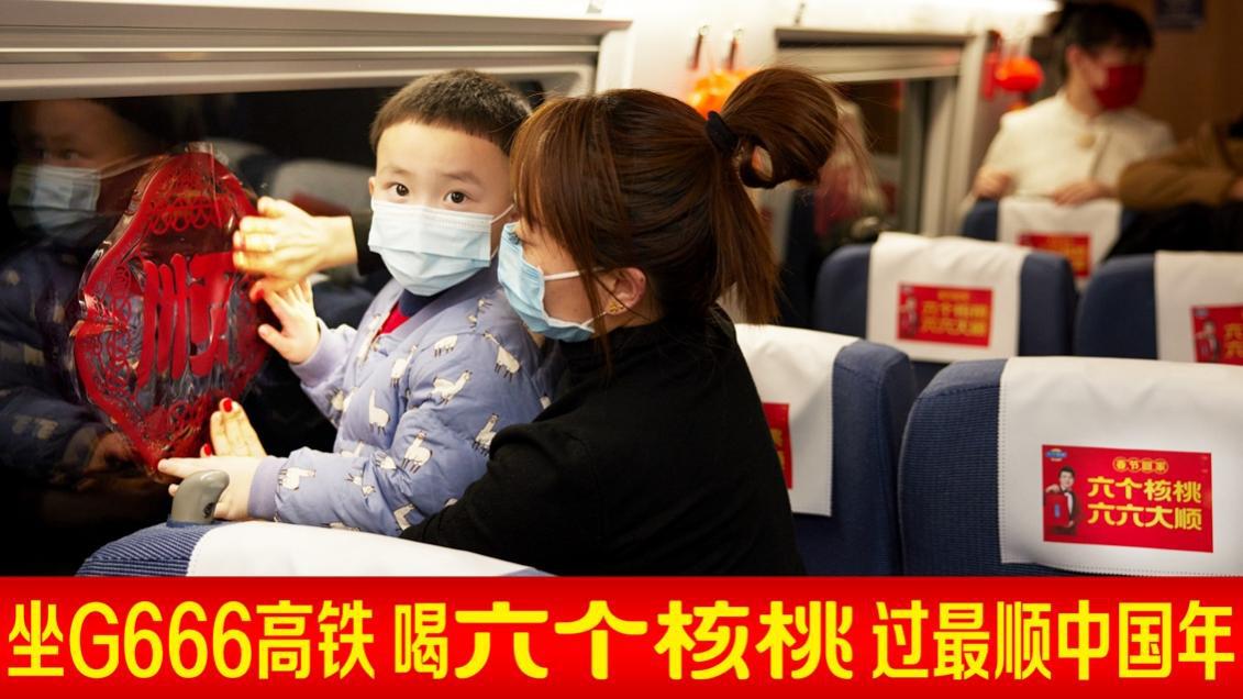 大红鹰dhy(中国)有限公司官网