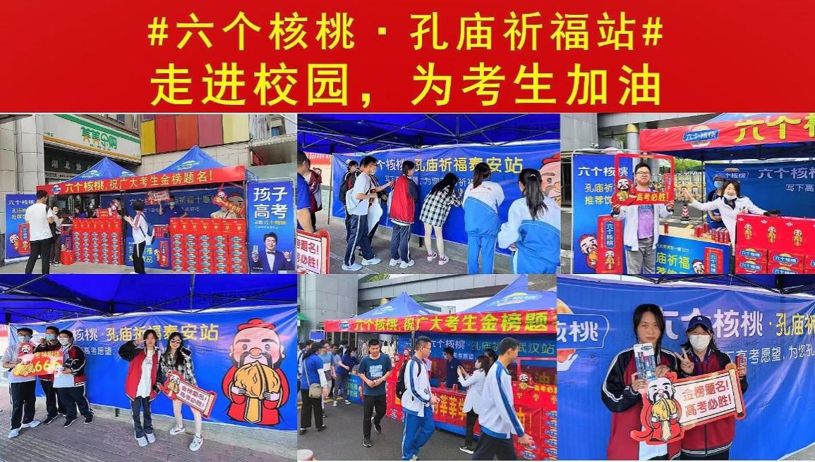 大红鹰dhy(中国)有限公司官网