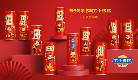 大红鹰dhy(中国)有限公司官网