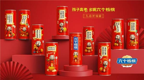 大红鹰dhy(中国)有限公司官网