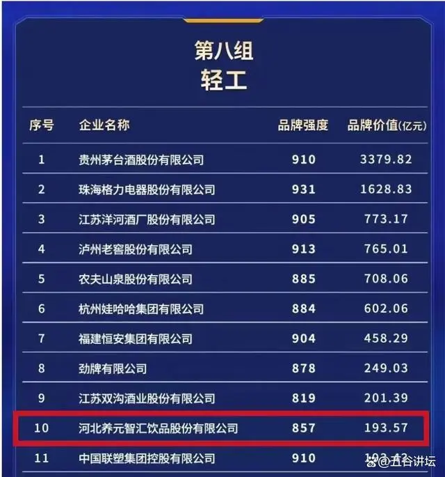 大红鹰dhy(中国)有限公司官网