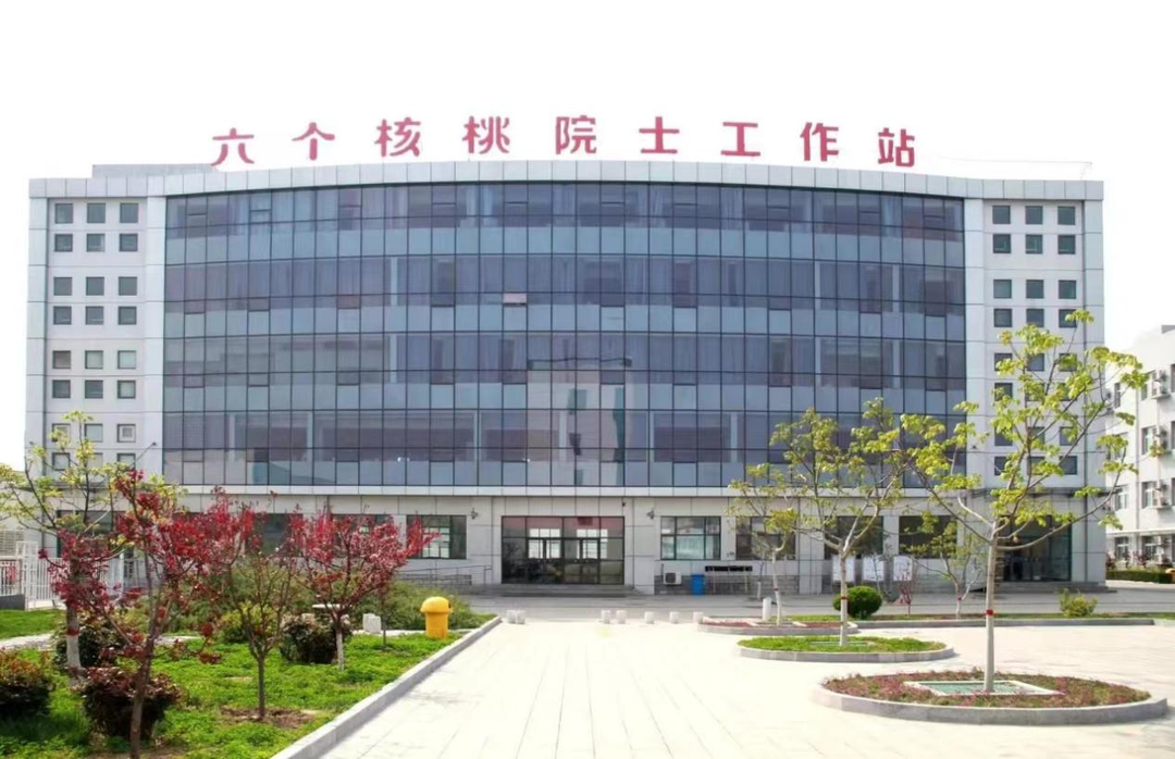 大红鹰dhy(中国)有限公司官网