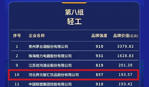 大红鹰dhy(中国)有限公司官网