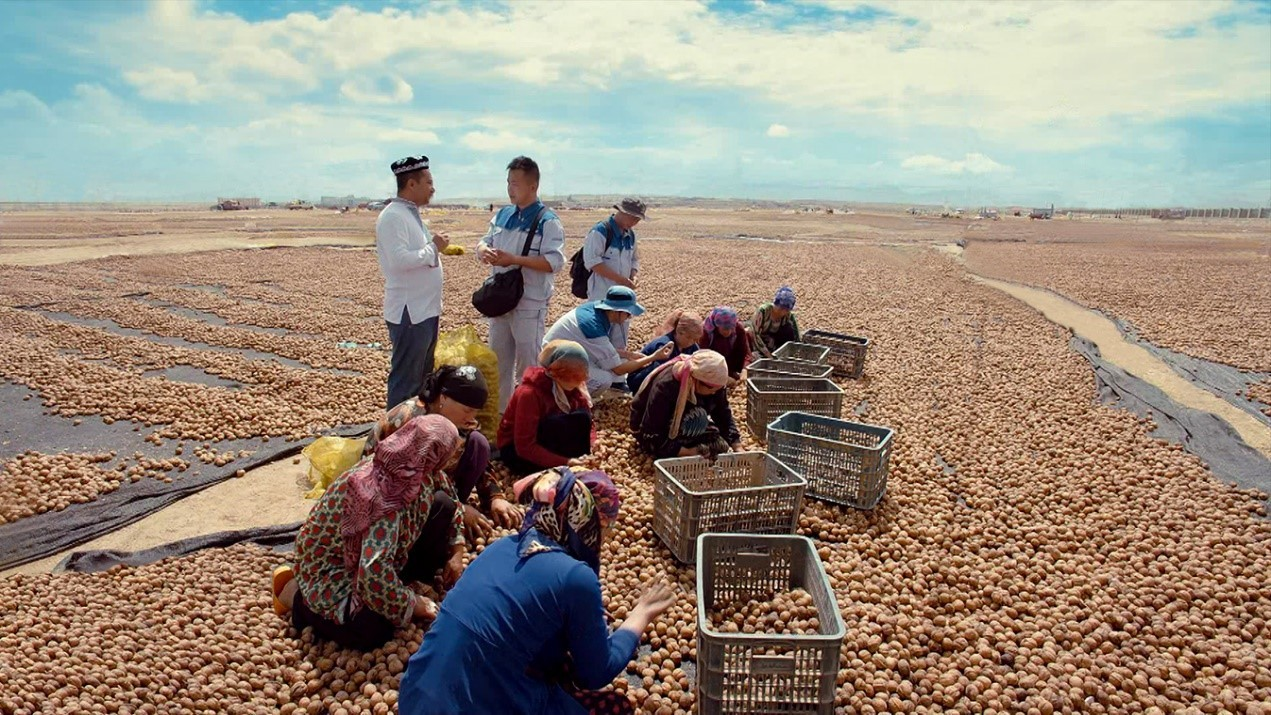 大红鹰dhy(中国)有限公司官网