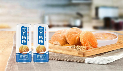 大红鹰dhy(中国)有限公司官网