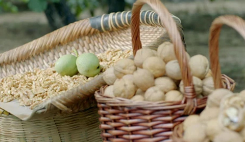 大红鹰dhy(中国)有限公司官网