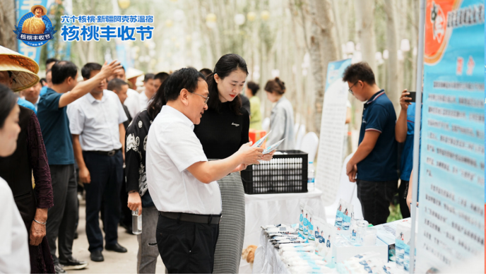 大红鹰dhy(中国)有限公司官网