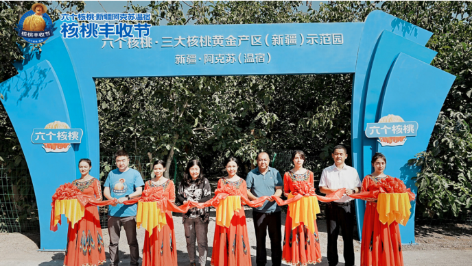 大红鹰dhy(中国)有限公司官网