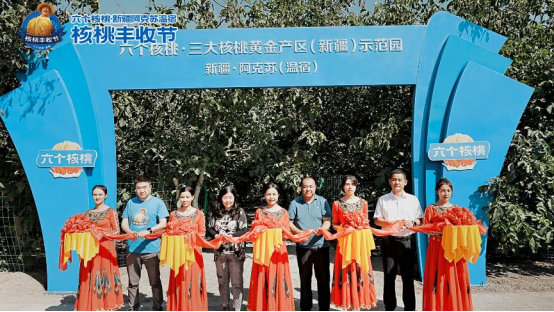 大红鹰dhy(中国)有限公司官网