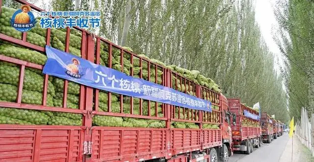 大红鹰dhy(中国)有限公司官网