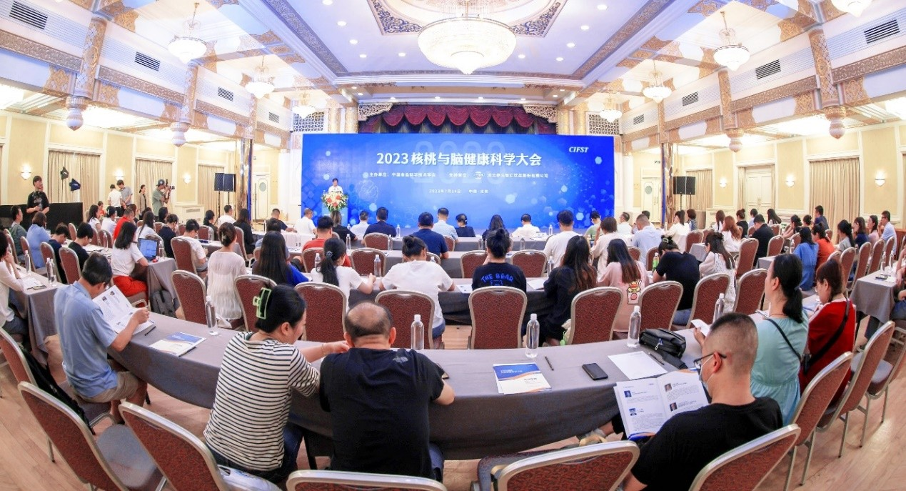 大红鹰dhy(中国)有限公司官网