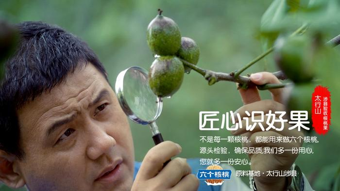 大红鹰dhy(中国)有限公司官网