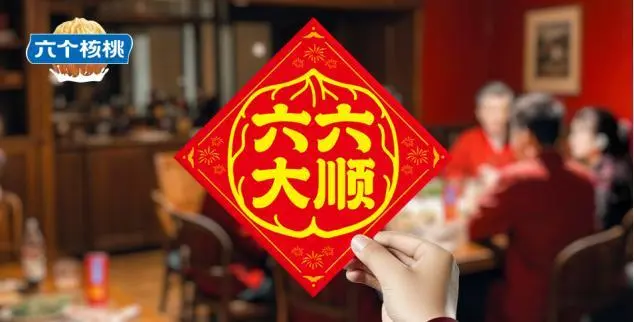 大红鹰dhy(中国)有限公司官网