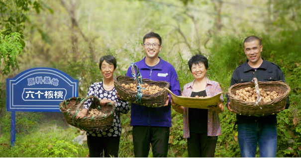大红鹰dhy(中国)有限公司官网