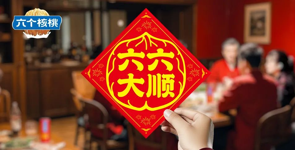 大红鹰dhy(中国)有限公司官网