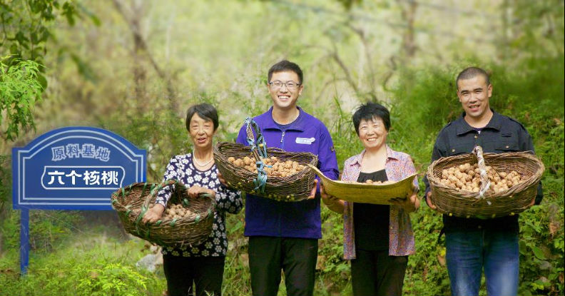 大红鹰dhy(中国)有限公司官网