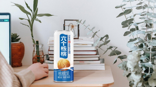 大红鹰dhy(中国)有限公司官网