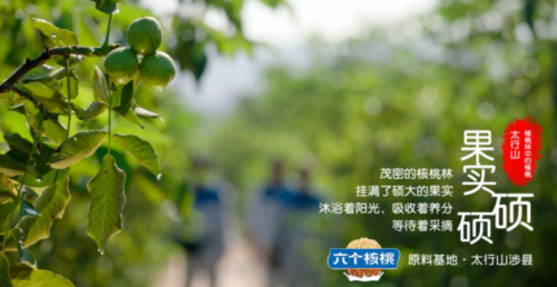 大红鹰dhy(中国)有限公司官网