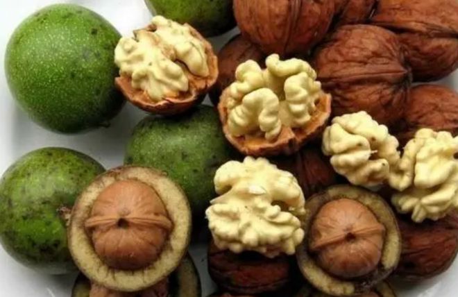 大红鹰dhy(中国)有限公司官网