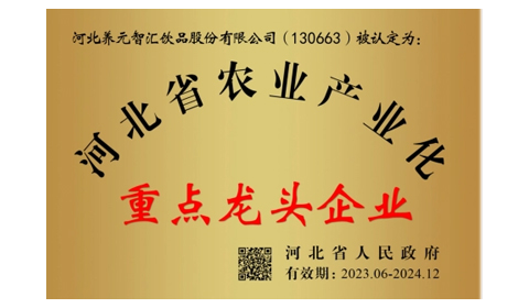 大红鹰dhy(中国)有限公司官网