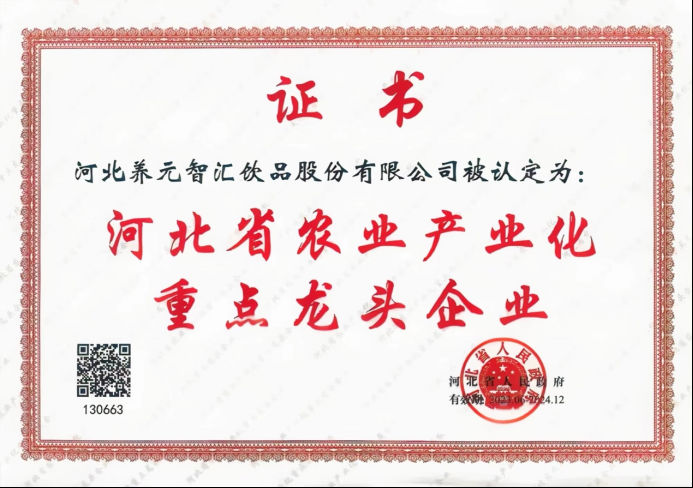 大红鹰dhy(中国)有限公司官网