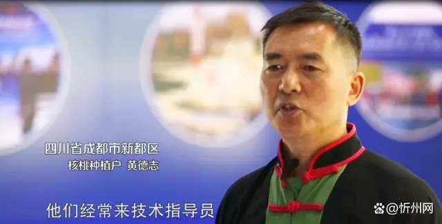 大红鹰dhy(中国)有限公司官网