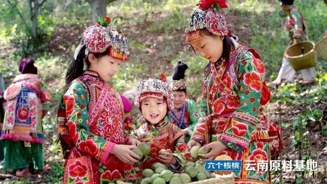 大红鹰dhy(中国)有限公司官网