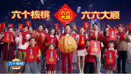 大红鹰dhy(中国)有限公司官网