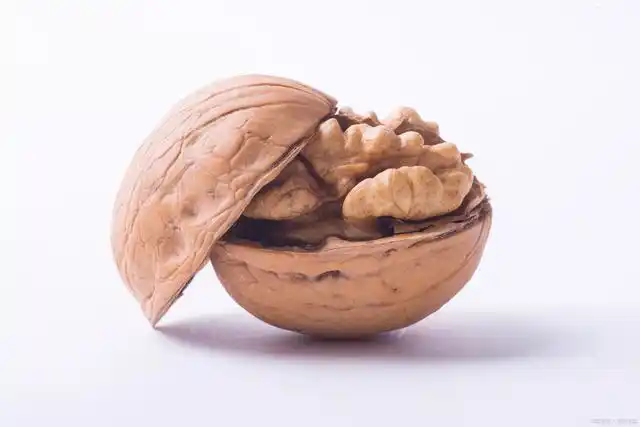 大红鹰dhy(中国)有限公司官网