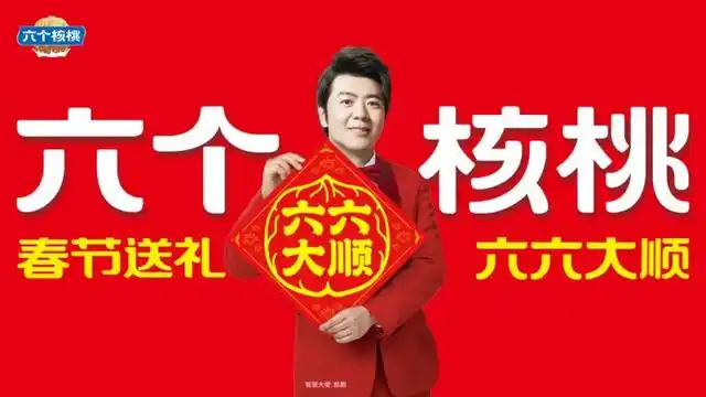 大红鹰dhy(中国)有限公司官网