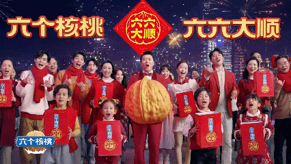 大红鹰dhy(中国)有限公司官网